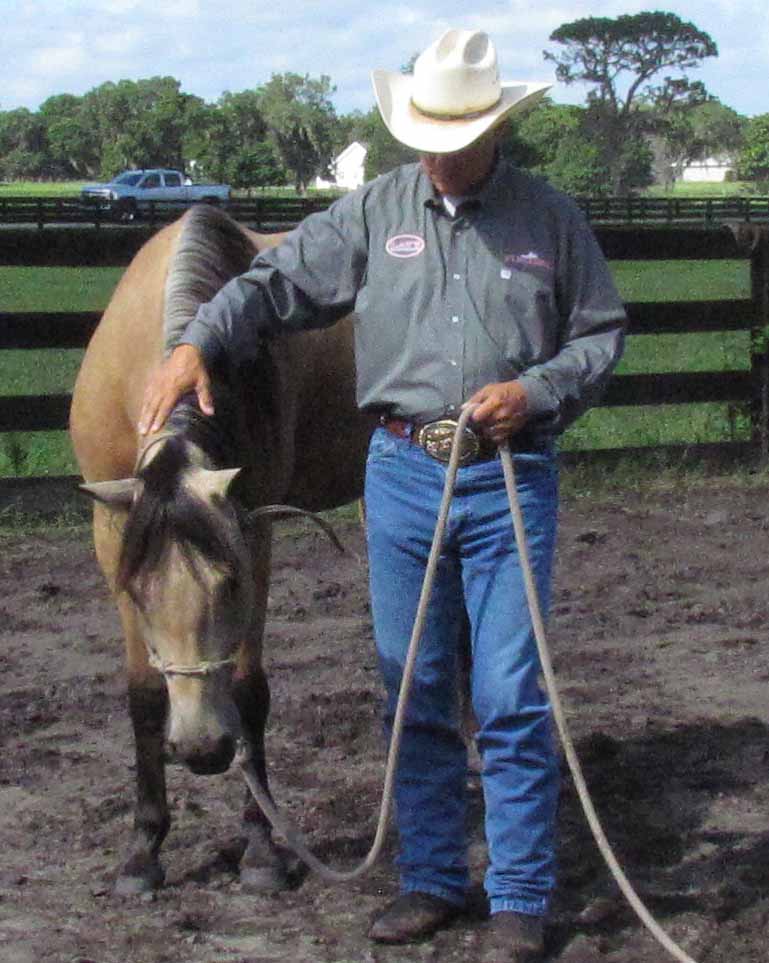 How to use pressure and release with your horse
