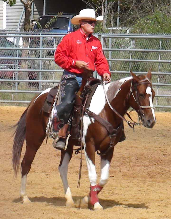 Gaining respect, focus and trust from your horse