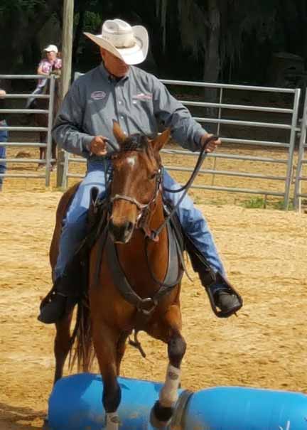 Make the horse wait for you