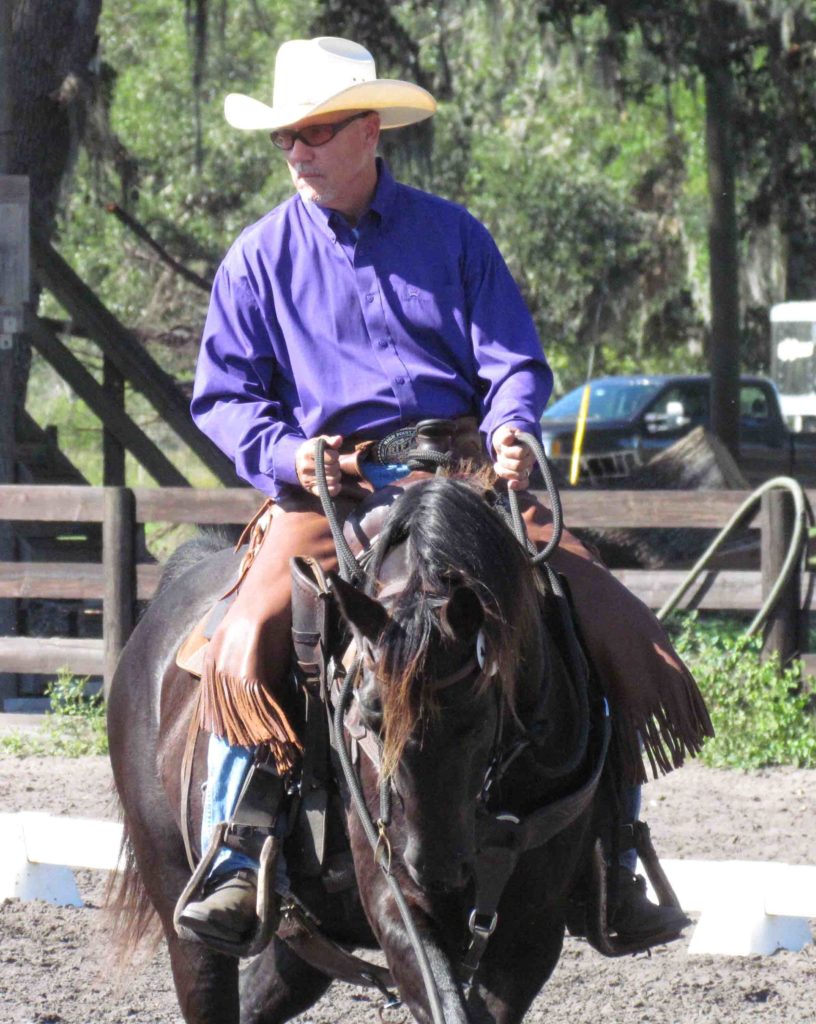 Dressage