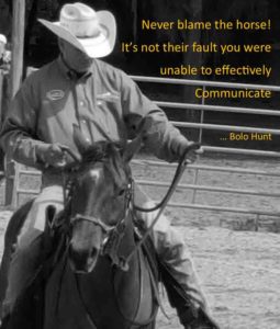 Horsemanship Articles