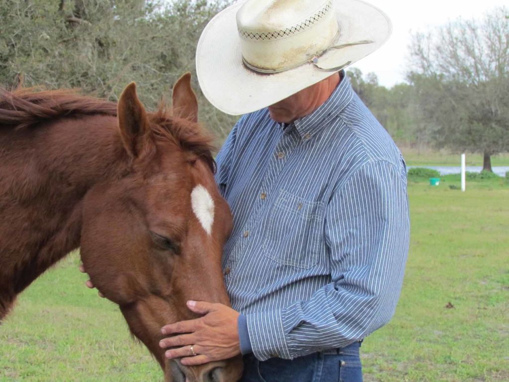 Build a good Team around your horse!