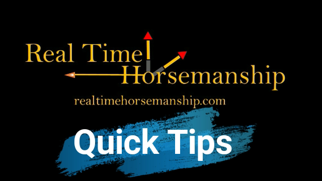 Bolo Hunt-Quick Tips