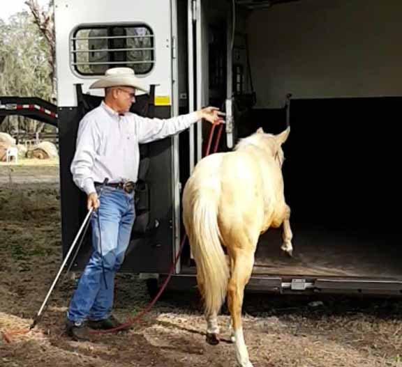 Trailer Loading Your Horse