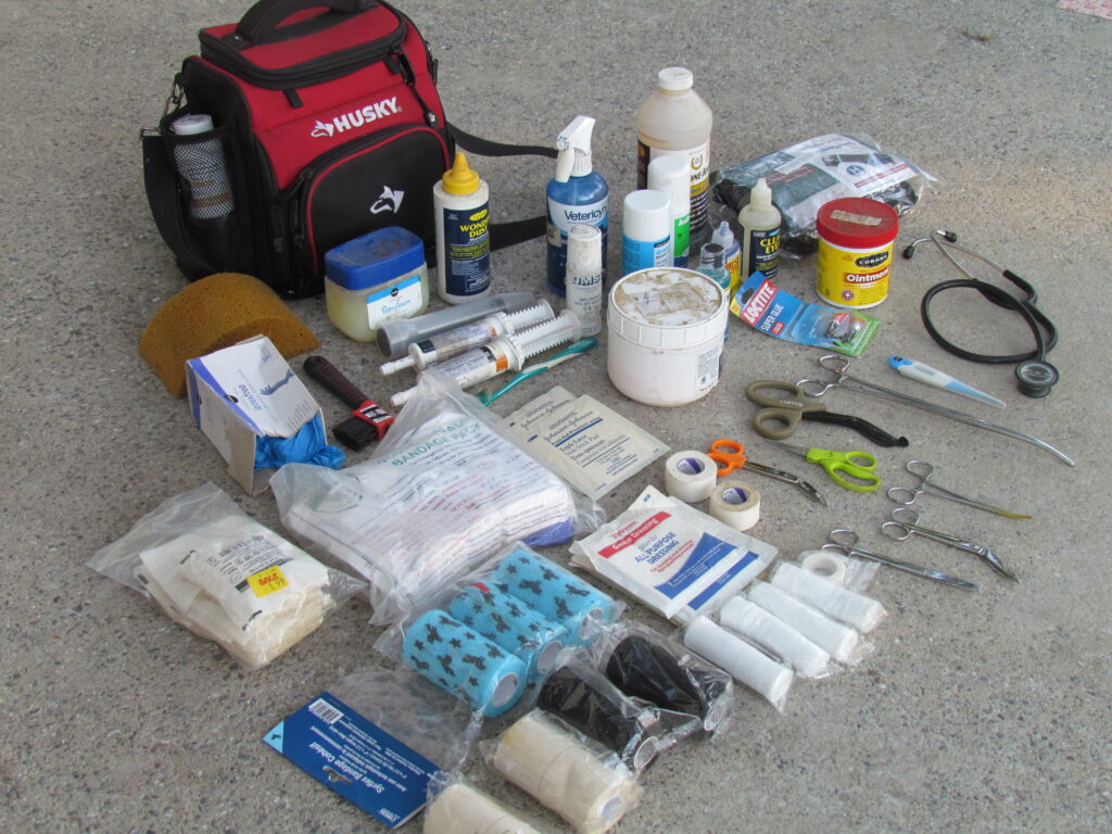 Equine First Aid Kit